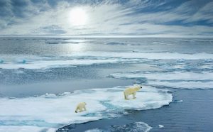 Preserving Earth Image 3 LR 768x475 1 300x186 1